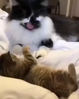 😒