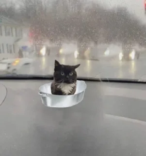 Чмоня