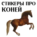 Stickers With Horses @stickersb2b