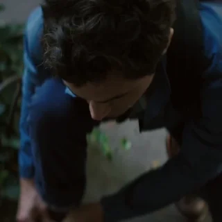 🕷