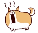 🐶