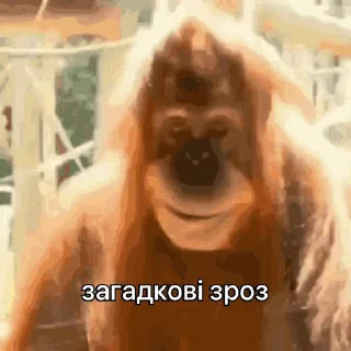 🤔