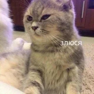 😠