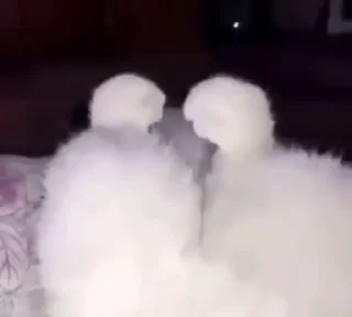 😊