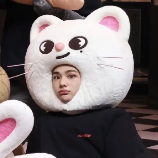 🐱