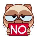 ❌