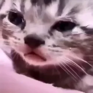 😢
