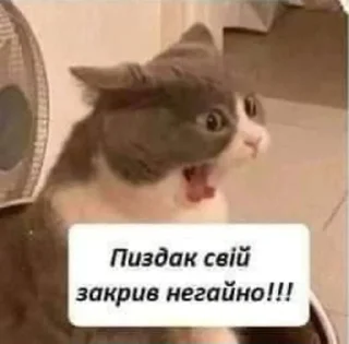 😡