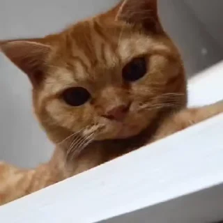 😐