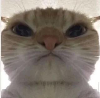 😡