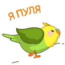 🏃‍♂️
