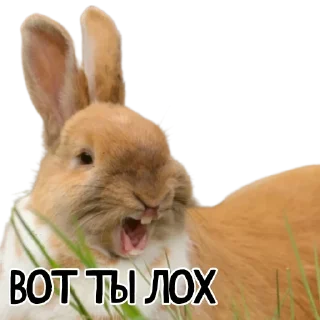 😜