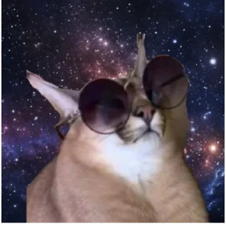 😎