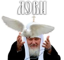 ✌