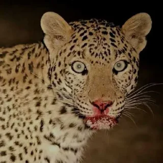 😨