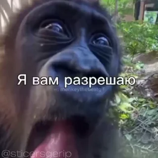 😂