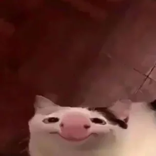 🙂