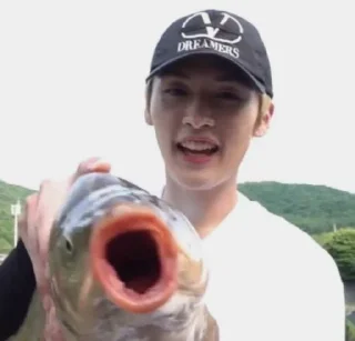 🐟