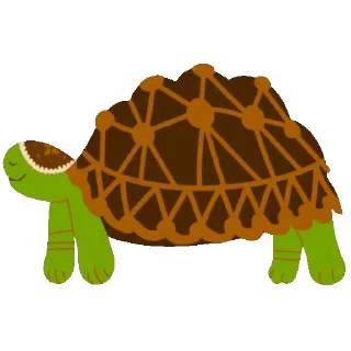 🐢