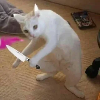 😡
