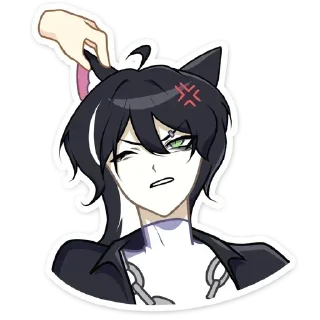 😾