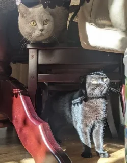 😳