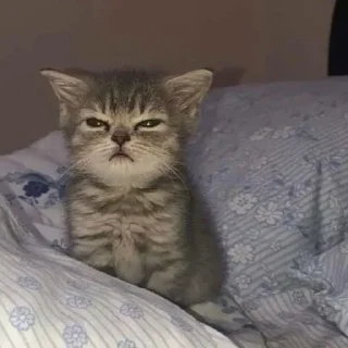 😑