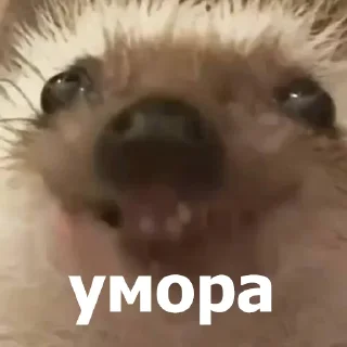 😄