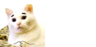 👂