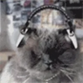 🎧