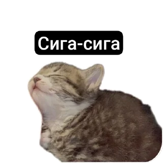Kalimera