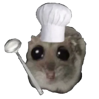 👩‍🍳