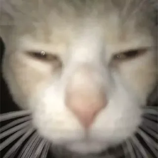 🫥