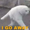 🏃‍♂