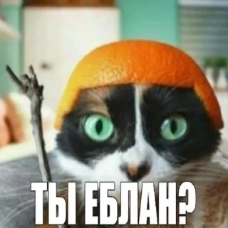 ⁉️