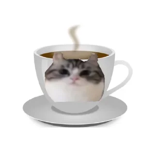 ☕️