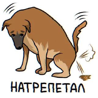💩