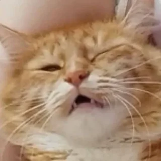 😳