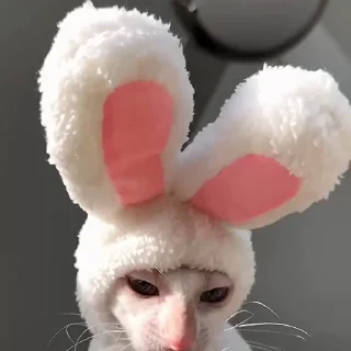 😠