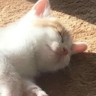 😌
