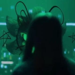 🌟