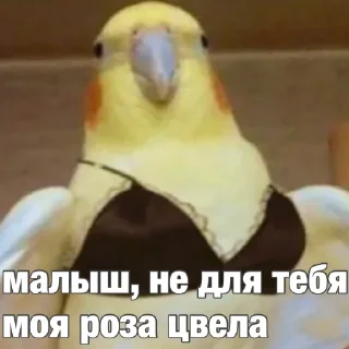 😏