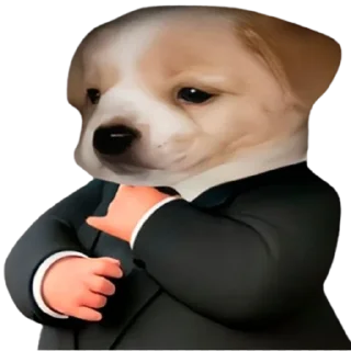 😎