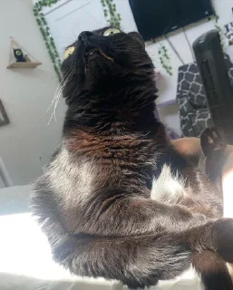 🧐