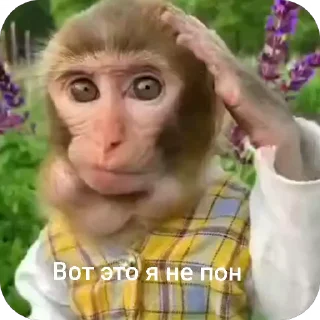 🤔