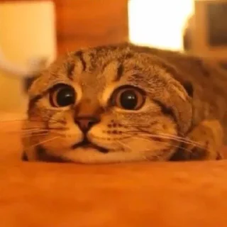 😬
