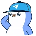 🧢
