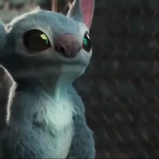 🌟