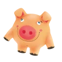 🐷
