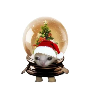 🐱